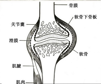 廪ʪļҽԺ